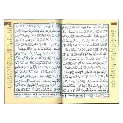 Quran Tajweed 20 x 14 cm (Arabisch)